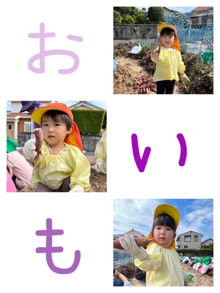 S__96952324.jpg